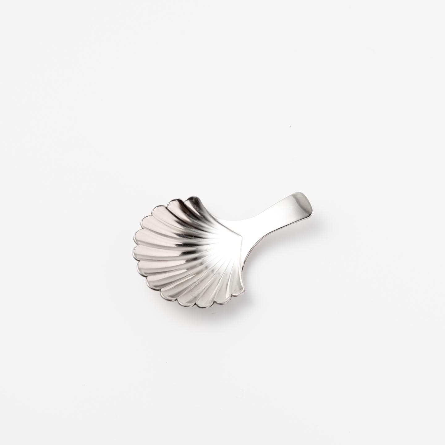 SHELL SPOON