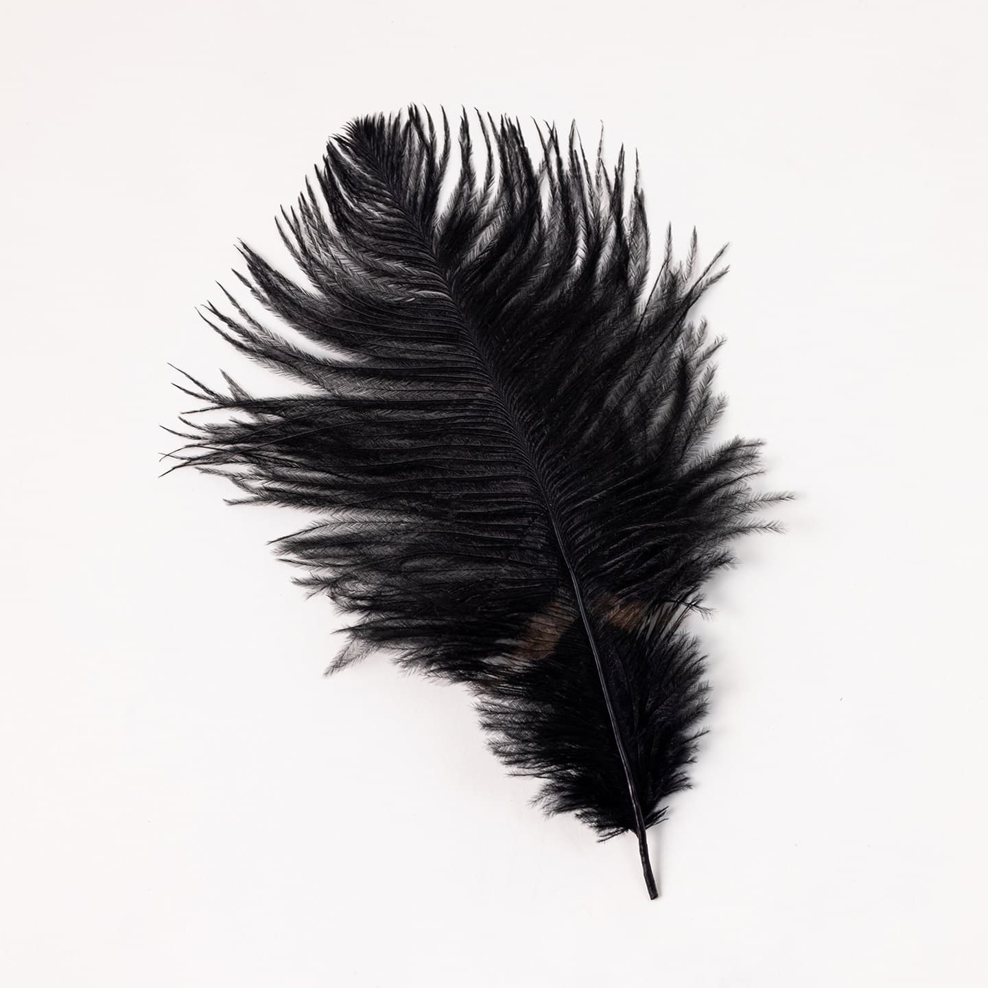 BLACK FEATHER